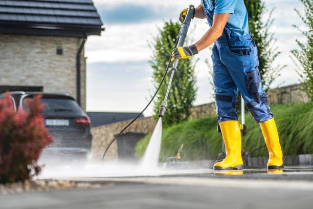 Best Roof Cleaning and Mildew Removal in Colonial Heights, VA
